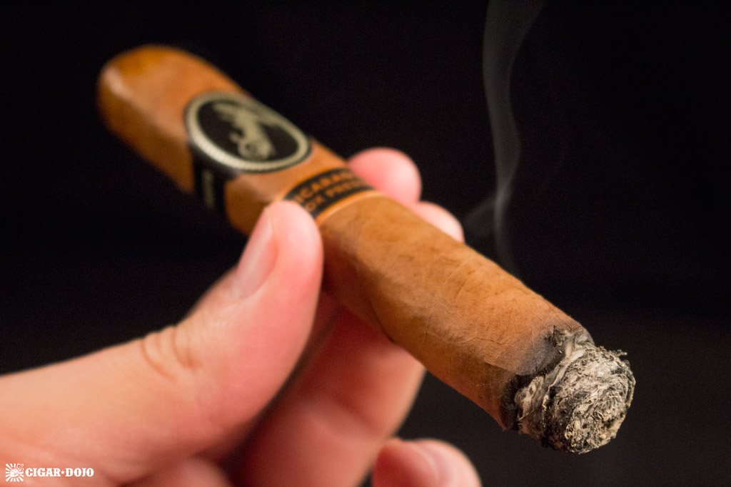 Davidoff Nicaragua Box Pressed cigar review