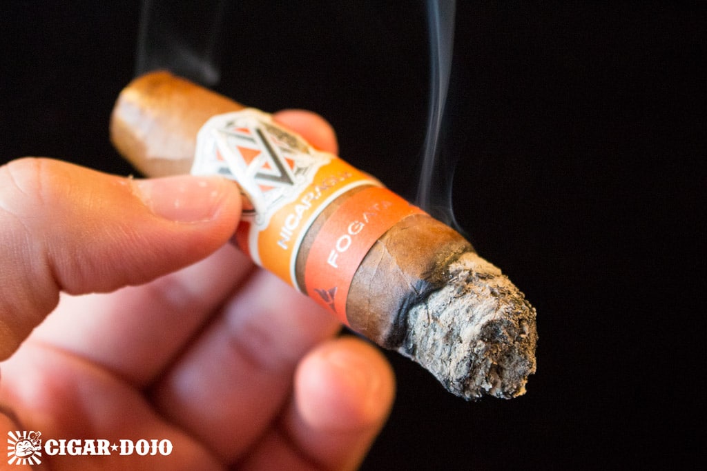 AVO Syncro Nicaragua Fogata Short Torpedo cigar smoke