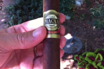 The Casa Magna Colorado Robusto