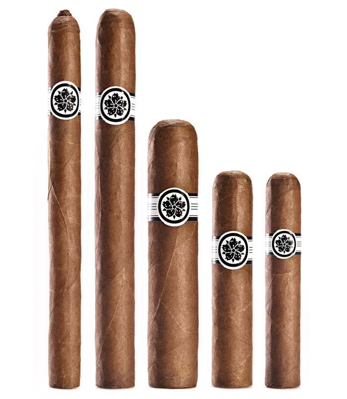 Room101 Master Collection Three cigars
