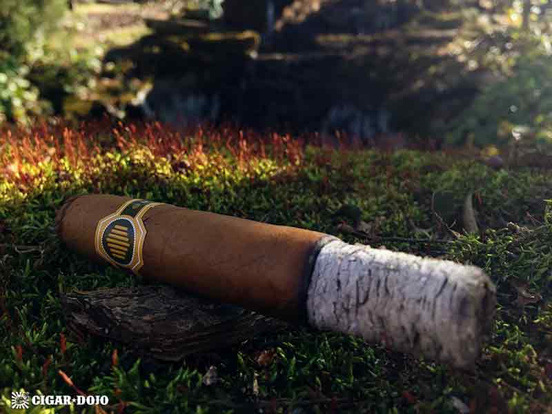 Warped Cigars La Colmena cigar review
