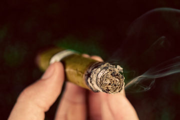 Espinosa Wasabi cigar review