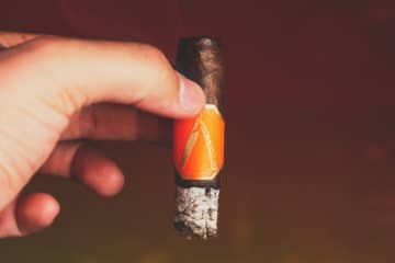 La Barba Primitivo corona gorda cigar review