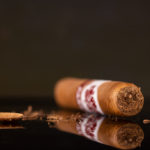 Room101 Farce Connecticut Robusto cigar cut head