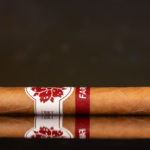 Room101 Farce Connecticut Robusto cigar side view