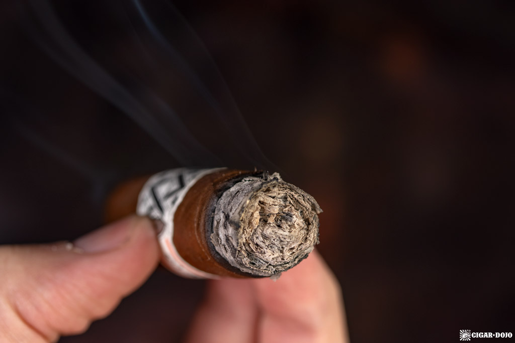 AVO LE05 30th Anniversary cigar ash