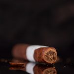 Partagas Legend Corona Extra Leyenda cigar head cut cap