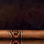 Pier 28 Oscuro Robusto cigar side view