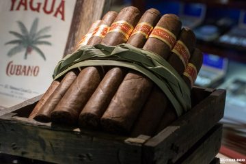J.C. Newman Yagua cigars IPCPR 2019
