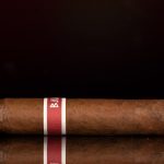 RoMa Craft Baka Bantu cigar side view