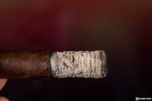 Dunbarton Mi Querida Triqui Traca No. 648 cigar ash