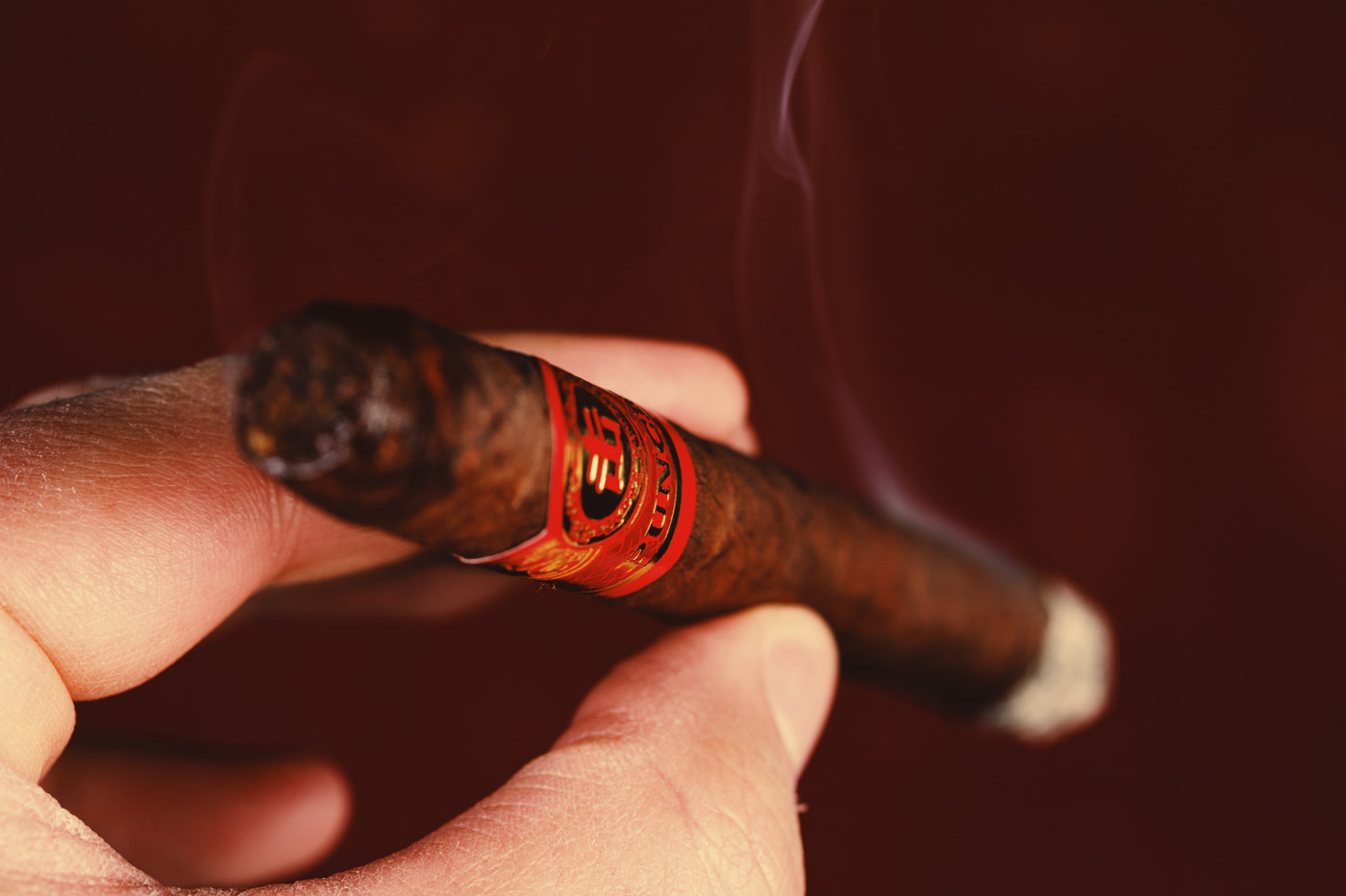 Punch Chop Suey cigar review