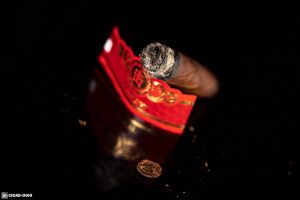 Punch Chop Suey cigar nub finished