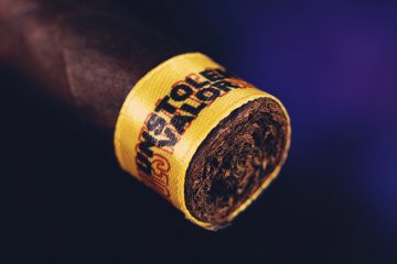 Muestra de Saka Unstolen Valor cigar review