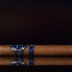 Partagas Limited Reserve Decadas 2021 cigar side view