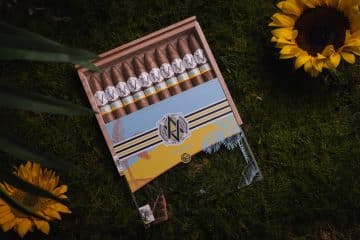 AVO Seasons Limited Edition Series 2023 Summer cigar box open