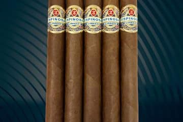 Espinosa Linked