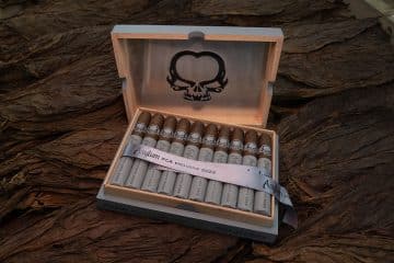 C.L.E. Asylum PCA 2023 Exclusive