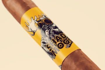 Chillin' Moose Shady Moose Toro cigar review and rating