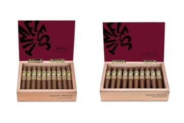 Ferio Tego Timeless Prestige No. 4 and Divinos sizes