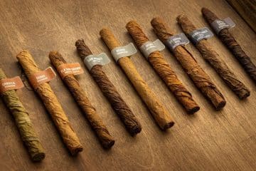 J.C. Newman Cigar tobacco tasting class