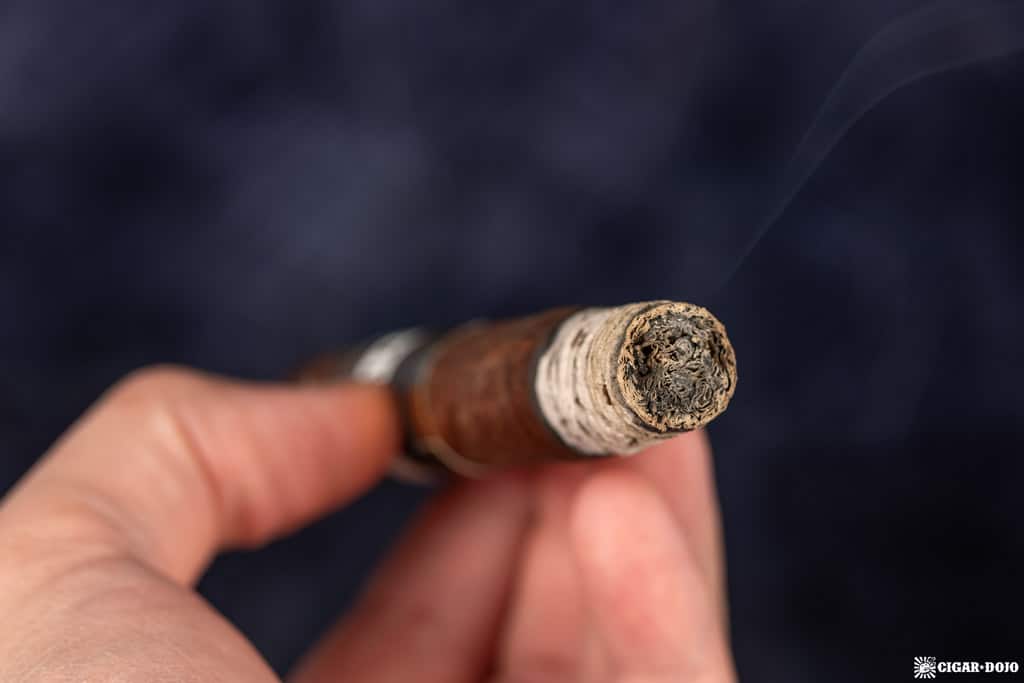 Plasencia Cosecha 151 Corona Gorda cigar ash