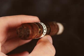 Plasencia Cosecha 151 Corona Gorda cigar review