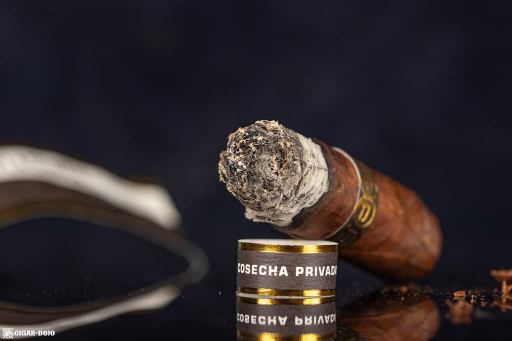 Plasencia Cosecha 151 Corona Gorda cigar nub finished