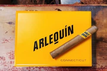 Fratello Arlequin Connecticut