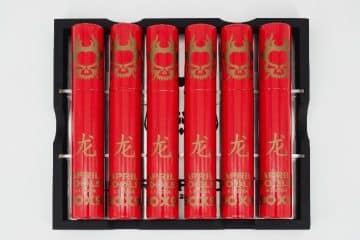 Asylum April Fools’ 2024 “Year of the Dragon”