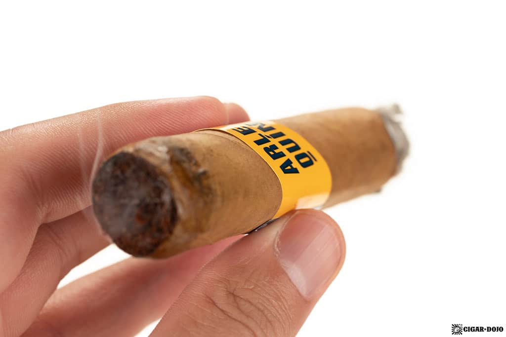 Fratello Arlequín Connecticut Robusto cigar smoking