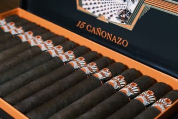 Warped Cigars New Day