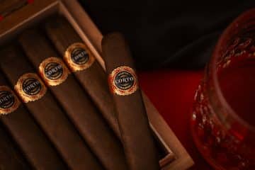 Warped Corto Maduro cigar glamour shot