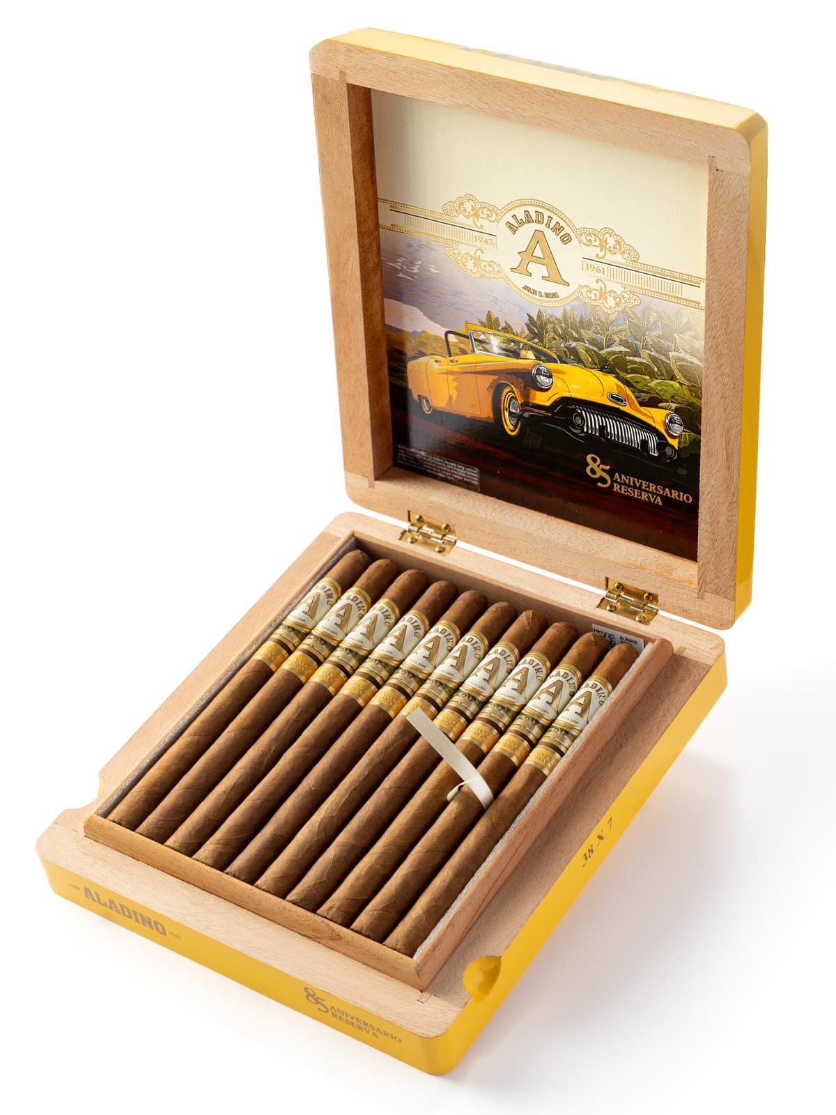 aladino 85 elegante